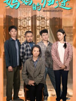 妈妈的归途(归来之金凤成龙)