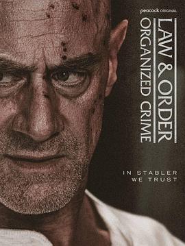 法律与秩序:组织犯罪第五季