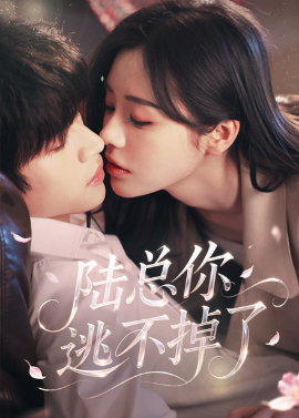 陆总你逃不掉了＆爱意难逃