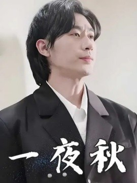 一夜秋 陆少宠妻如命