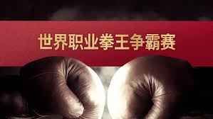 世界职业拳王争霸赛