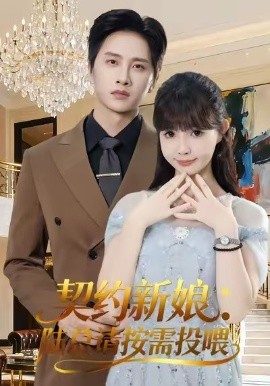 契约新娘：陆总请按需投喂