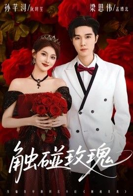 触碰玫瑰（凌晨四点半，玫瑰花未眠）