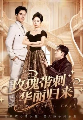 玫瑰带刺华丽归来 婚前测试他不配