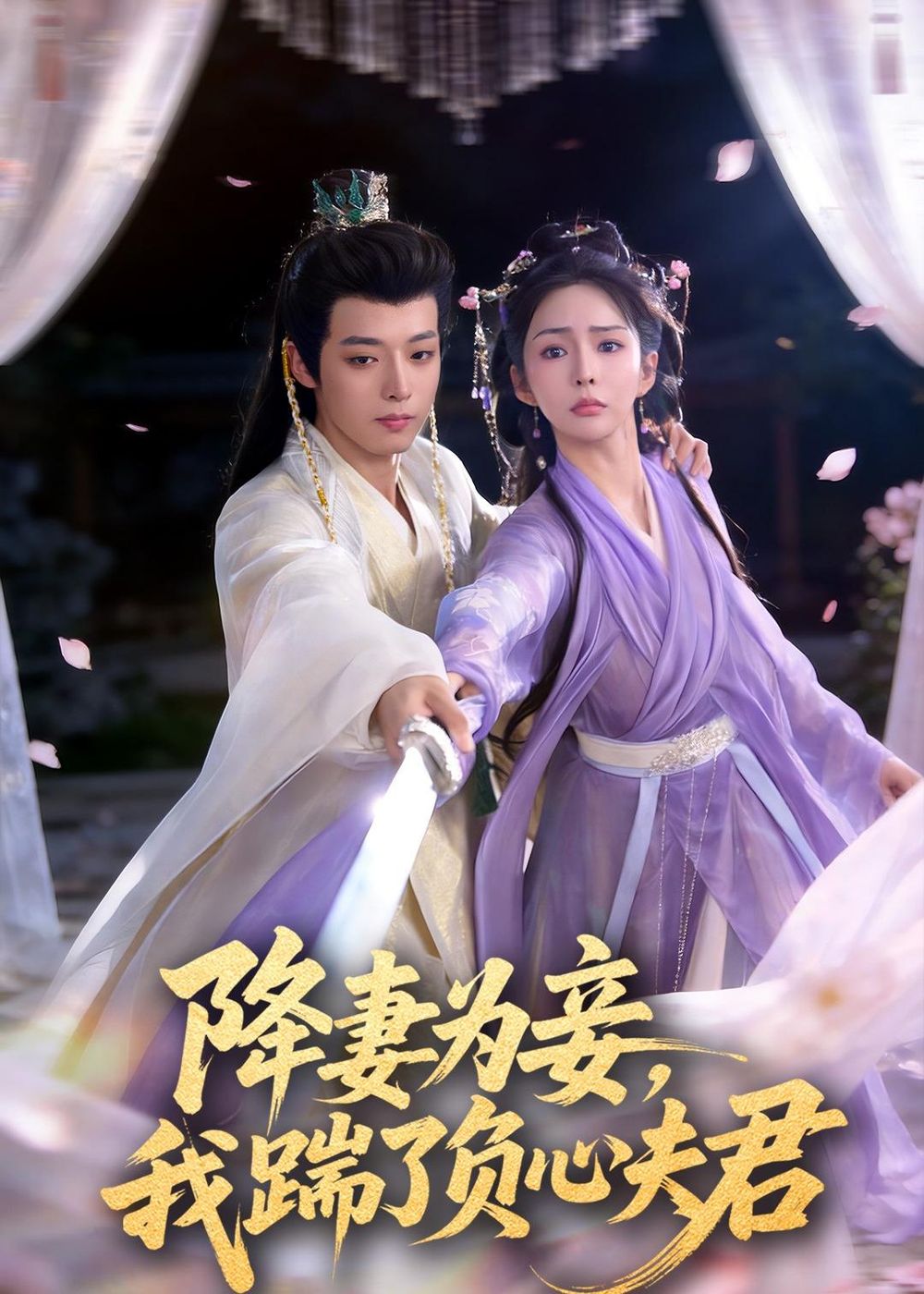 降妻为妾,我踹了负心夫君