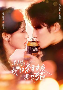 别摸!我的杀手女友是只猫